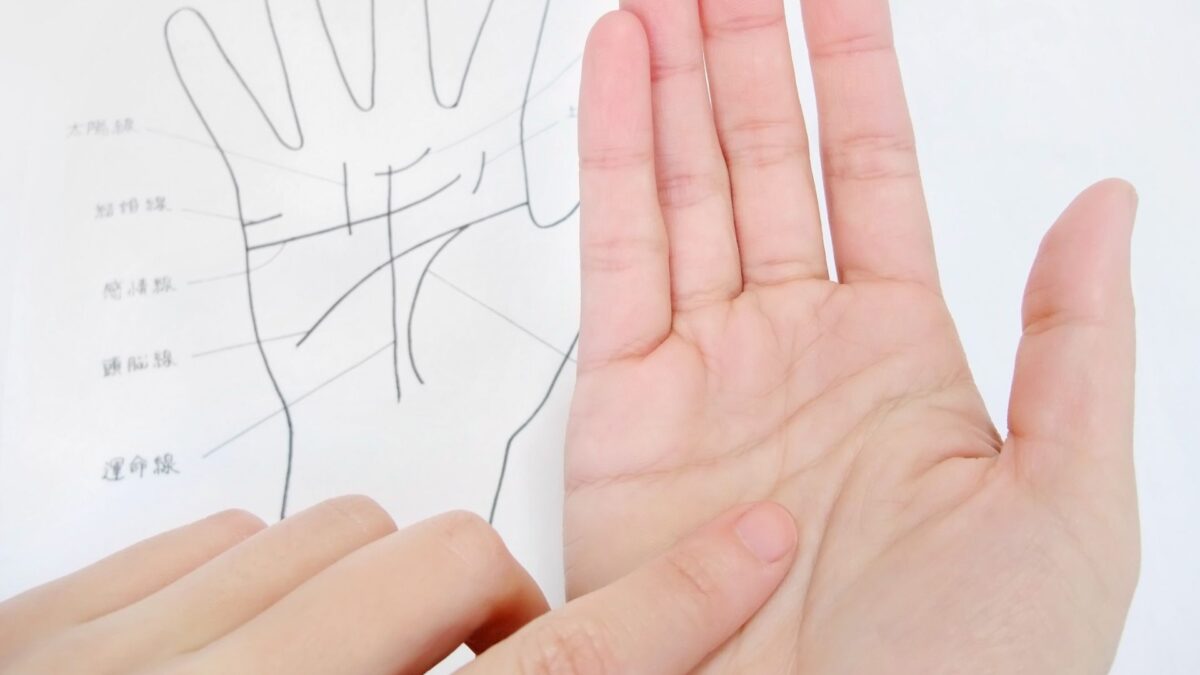 手のひらの写真に感情線と長さの目安（長い・標準・短い）を示した図